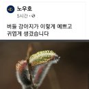 연락바람~~^^ 이미지