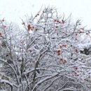 기분좋은날 이미지