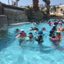 부림태권도장 이미지