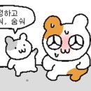 요리사횟집 네이버블로그