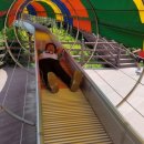 박선생역사교실(인물한국사) 이미지