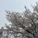 붕붕모터스 | 캐스퍼구매! 수원중고차매매 온드림모터스 중고차 구매후기