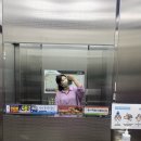 샴프네집 이미지