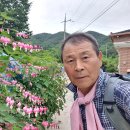 도라마을회관 이미지