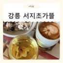수림조경，꽃내음있는곳 | [강원/강릉] 고즈넉한 한옥 감성 가득 힐링 강릉경포대카페 서지초가뜰 후기