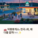 코코 반려견샵 | 덕평휴게소 솔직 후기! 🚗✨
