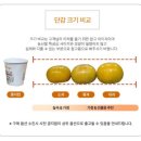 부유네 | [제품리뷰] 고당도 프리미엄 태추단감, 부유단감 후기🍊 쿠팡과일 추천!