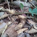 큰바위농장 이미지