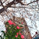 늑도마을회관 이미지