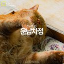 대구 앞산카페거리 이색 데이트코스 가볼만한곳 추천 운남차정