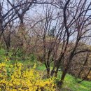 오동공원 유아숲체험장화장실 이미지