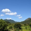 오아시스가든 이미지