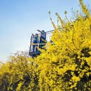 응봉개나리어린이공원 이미지