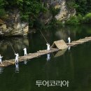 정선물산 Daum카페