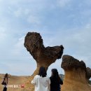휠라언더웨어동인천 | 생각보다 맛도리 대만🇹🇼 여행 3박 3일 ~1일차 1편 : 예스지~