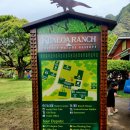 (주)일렉트릭아일랜드 | 하와이 쿠알로아랜치 UTV 랩터 투어 가이드 운전