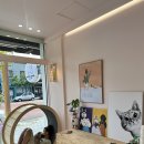 퍼피짱 대도점 이미지