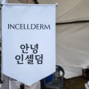 킨다네이처