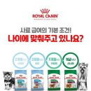 퍼피캣동물병원 이미지