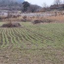 이순농장 이미지