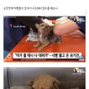 온:식빵