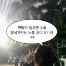 41190-01-07-274 | 찐따가 입으면 2배 잘생겨지는 느좋 코디 5가지 추천해줄게요!