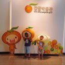 감귤박물관 쿠키머핀체험장 화장실 | 제주한달살기.15일차.감귤박물관.서귀포기적의도서관.제스코마트.쇠소깍.