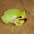 어베인휘트니스 이미지