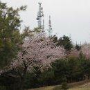 봉황산공원 이미지