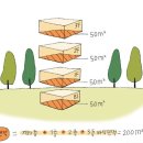 (윤지영칼럼) 부동산에 관련된 면적용어 이미지