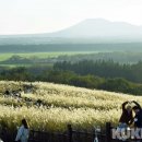 제주에반하다 이미지