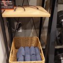 Enrich GYM 이미지