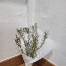 도동이네 집밥