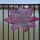 수원-1767 | 특강 자료 2. 홍대용의 지동설地動說에 대하여