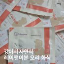 강아지 화식 영양식 추천 : 레이앤이본 닥터레이 오리 급여 솔직후기