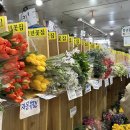 프리지아꽃집 | 남대문 꽃시장 주말 후기, 프리지아 꽃다발🌼(가격, 꽃집 추천)