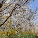 고덕체육공원 축구장 이미지