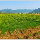 섬진강한의원 이미지