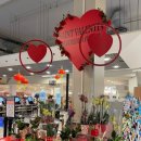 (주)모노프리 이미지