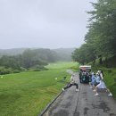 플레이 골프 이미지