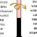 스킨독스 이미지