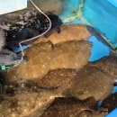 사천만수산