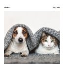 펫바이블 이미지