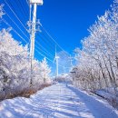 청솔(171) 이미지