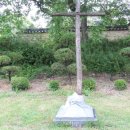 여산숲정이성지 이미지