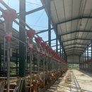 남강축산 이미지