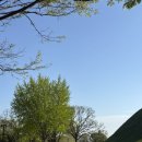 계림로(남) | 경주2박3일 여행