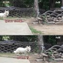 밍키문구