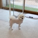 온댕 이미지