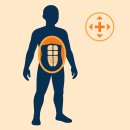 양정2치안센터 | [양정헬스 | 양정PT]💪 코어 운동이 중요한 이유